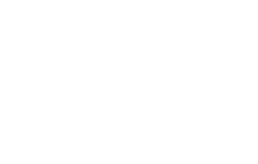 Pudgy Penguins